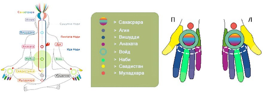 Чакры рук. Проекции чакр на руках. Проекции чакр на пальцах. Пальцы и чакры соответствие. Чакры на пальцах рук.