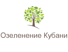 Ландшафтный дизайн и озеленение г.Краснодара, г.Геленджика, г. Новороссийска, г. Анапы, Кабардинки, Горячий ключ, Темрюк. Ландшафтный дизайн, устройство рулонного газона. Комплексный уход за Вашим зеленым садом.  Доставка.