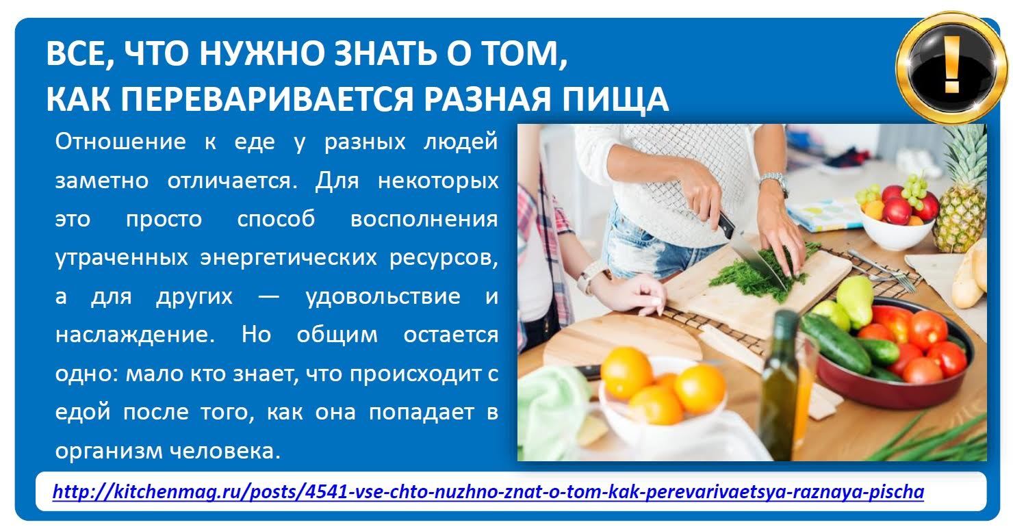 Таблица времени переваривания продуктов в желудке. Скорость переваривания продуктов. Время переваривания пищи в желудке человека таблица. Сколькотпереваривается еда. Под действием чего пища переваривается в желудке.