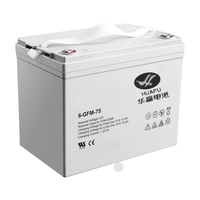 Аккумулятор для штабелёров IWS/PWS/WS 12V/75Ah гелевый (Gel battery) TOR