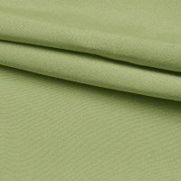 Ткань 1 м/п канвас 295 см цвет зеленый INSPIRE None