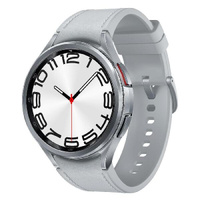 Смарт-часы Samsung Galaxy Watch 6 Silver (SM-R960NZSACI)
