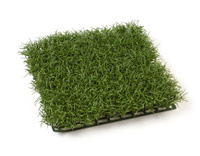 Газон-трава коврик темно-зеленая 26х26 см, в-4 см (пластик) 6/72 20.6200DG Treez