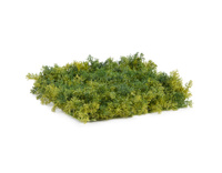Мох Ягель коврик зелёный микс 25х25 см (пластик) 40/40 20.072027N-S Treez