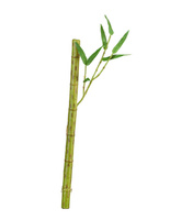 Бамбук стебель длинный св.зелёный с веточкой в-39 см д-2 см 24/288 30.0611073LG Treez