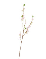 Ветка Сакуры св.розовая Нежные облака в-112 см 12/120 30.05170252LP Treez